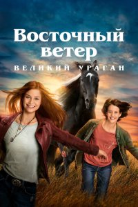 Восточный ветер. Великий ураган  смотреть онлайн